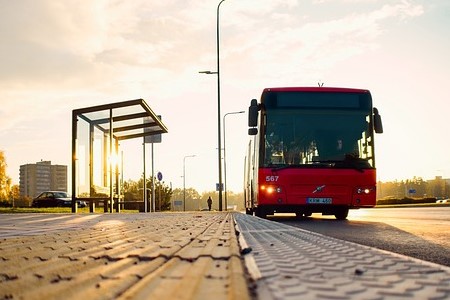 bus
